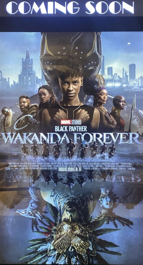 Residents of the Treasure Valley can view the new Black Panther movie at the Village Cinema and many other cinemas throughout the valley.
