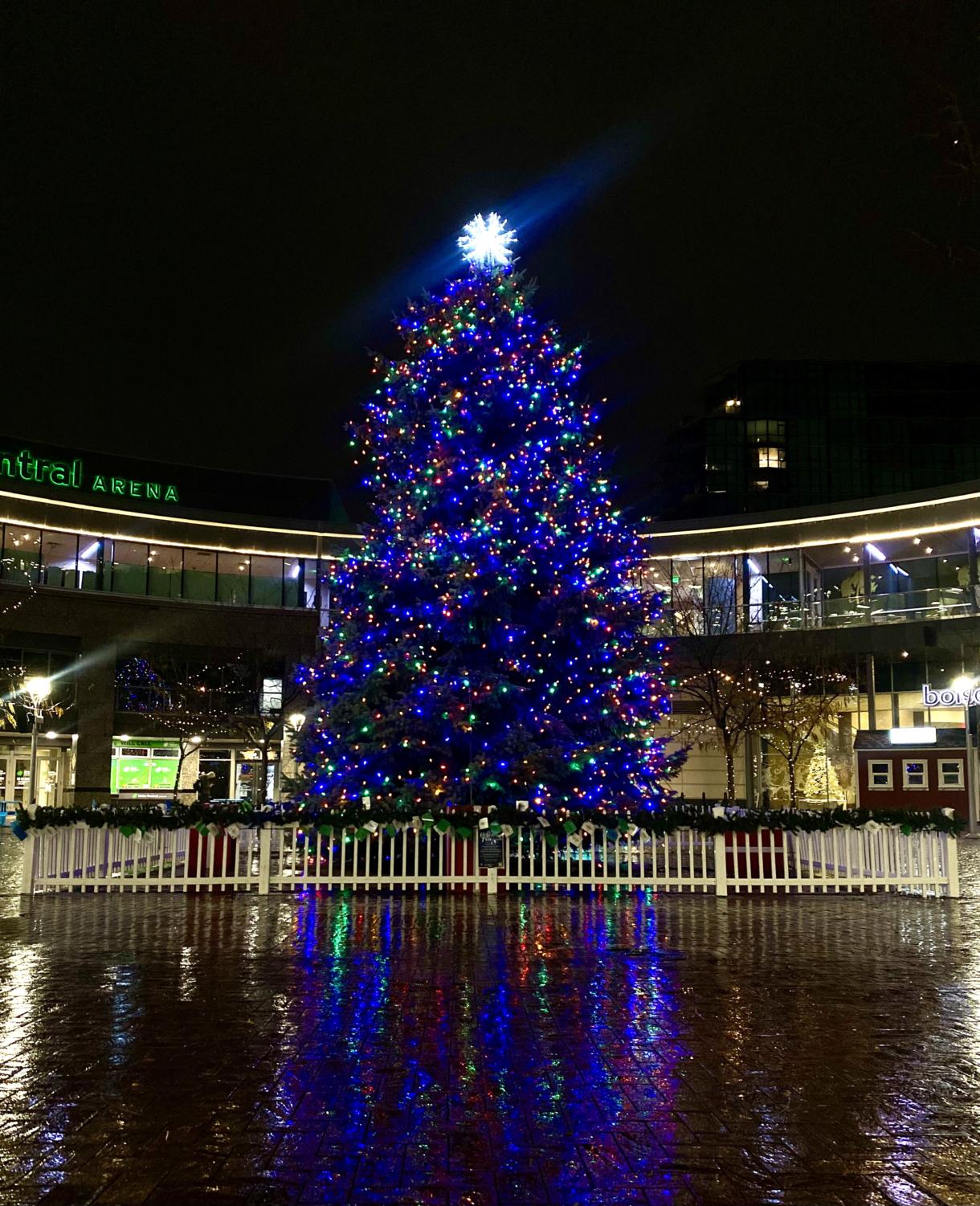 Boise Festival of Trees lights up another year The Stampede