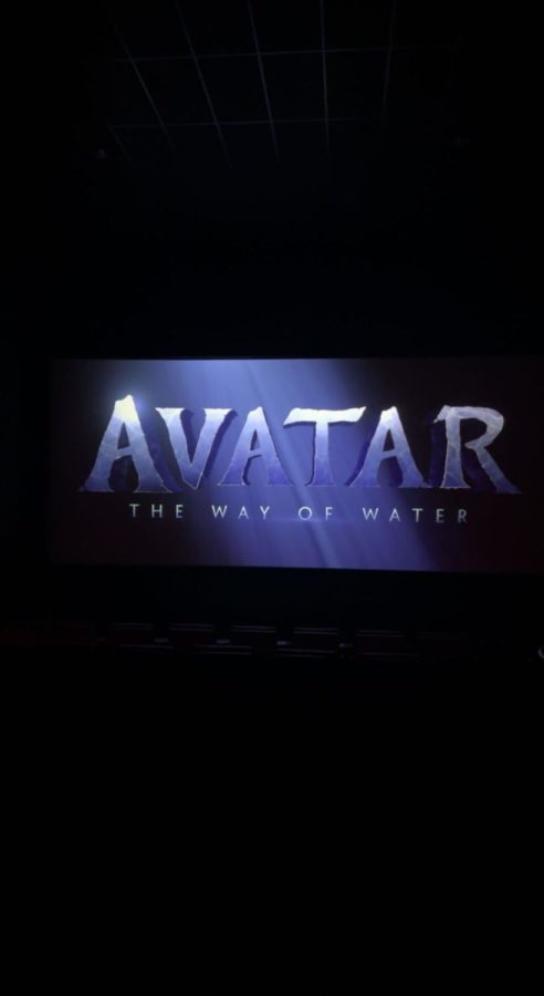 The new Avatar movie has brought in $2.923 billion USD at the box office so far.