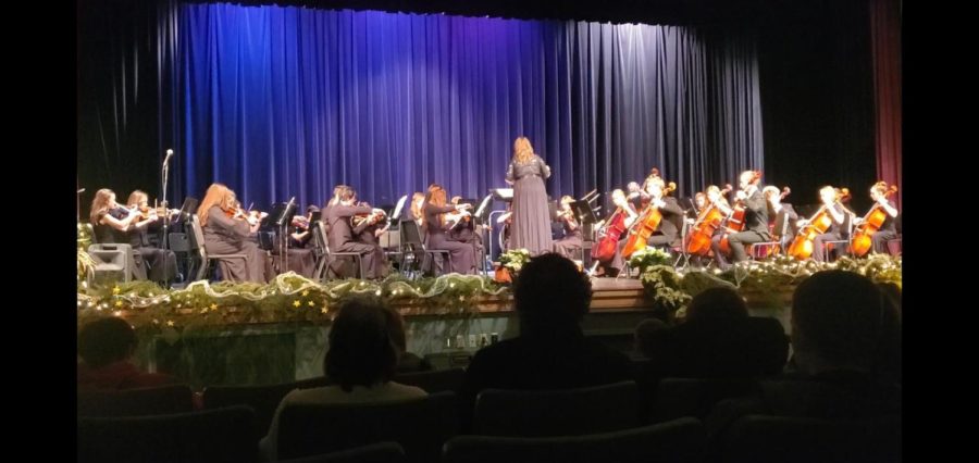 The+Eagle+High+orchestra+performed+their+Christmas+concert+in+the+auditorium.++
