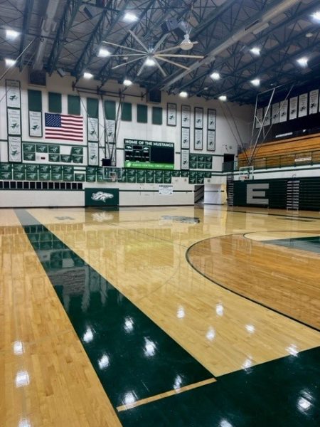 Winter is coming and so is basketball—in both professional leagues and at Eagle High. The Eagle High gymnasium is home to the Mustang basketball team, and students are ready to attend many games this upcoming season.