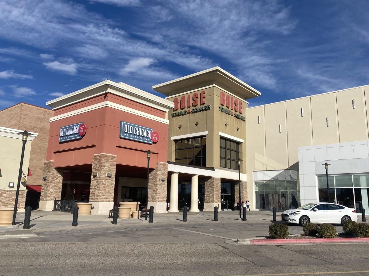 Students and parents alike may prepare for the holiday season by going to favored retailers on Black Friday. The stores Black Friday shoppers frequent include technology retailers such as Best Buy, as well as clothing stores, many of which are located within the Boise Towne Square mall.