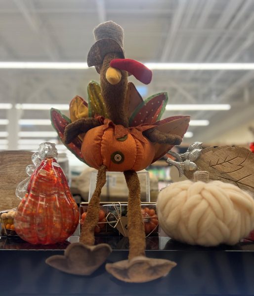 Prepare to get into the Thanksgiving festivities. Stores have been decorated with Thanksgiving decor for weeks but are soon going to be taken down for the 2023 Christmas season. 