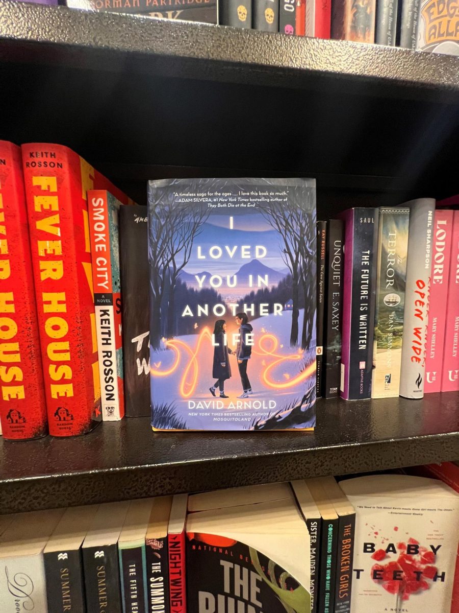 A true snowy romance, “I Loved You in Another Life” by David Arnold is lovely to read in winter. With a fresh snowfall and the sun shining bright is a perfect day to read it.  