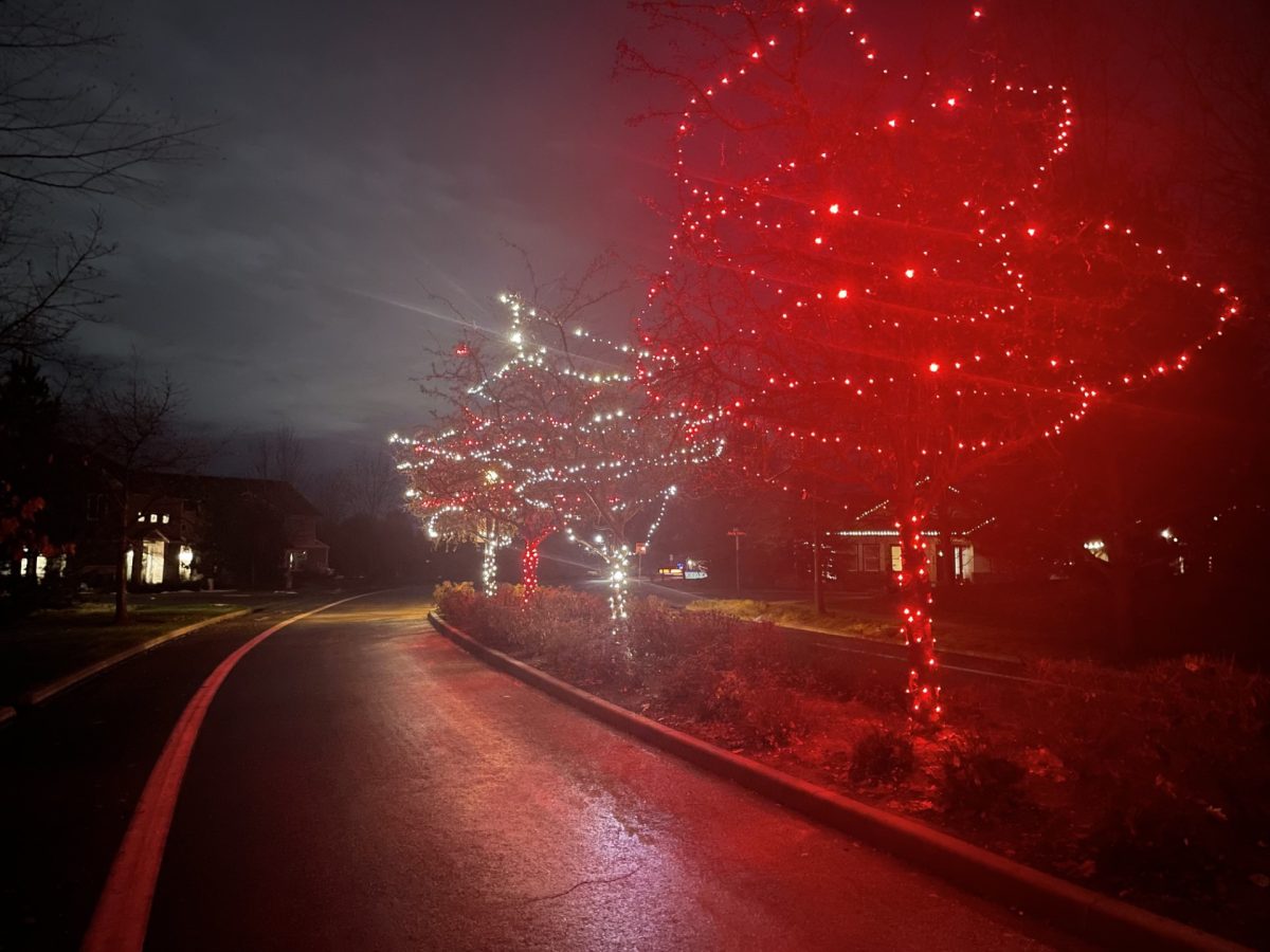 Christmas lights are hung up in a quiet neighborhood. The lights give a cheery feeling to anybody who sees them. These lights are one of many honored Christmas traditions. 