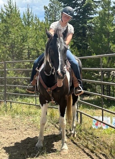 Senior Mikayla Herrara sits upon her horse, Reno, at her ranch in Eagle, Idaho. Herrara has owned many exciting pets including dogs, horses and even a donkey.  