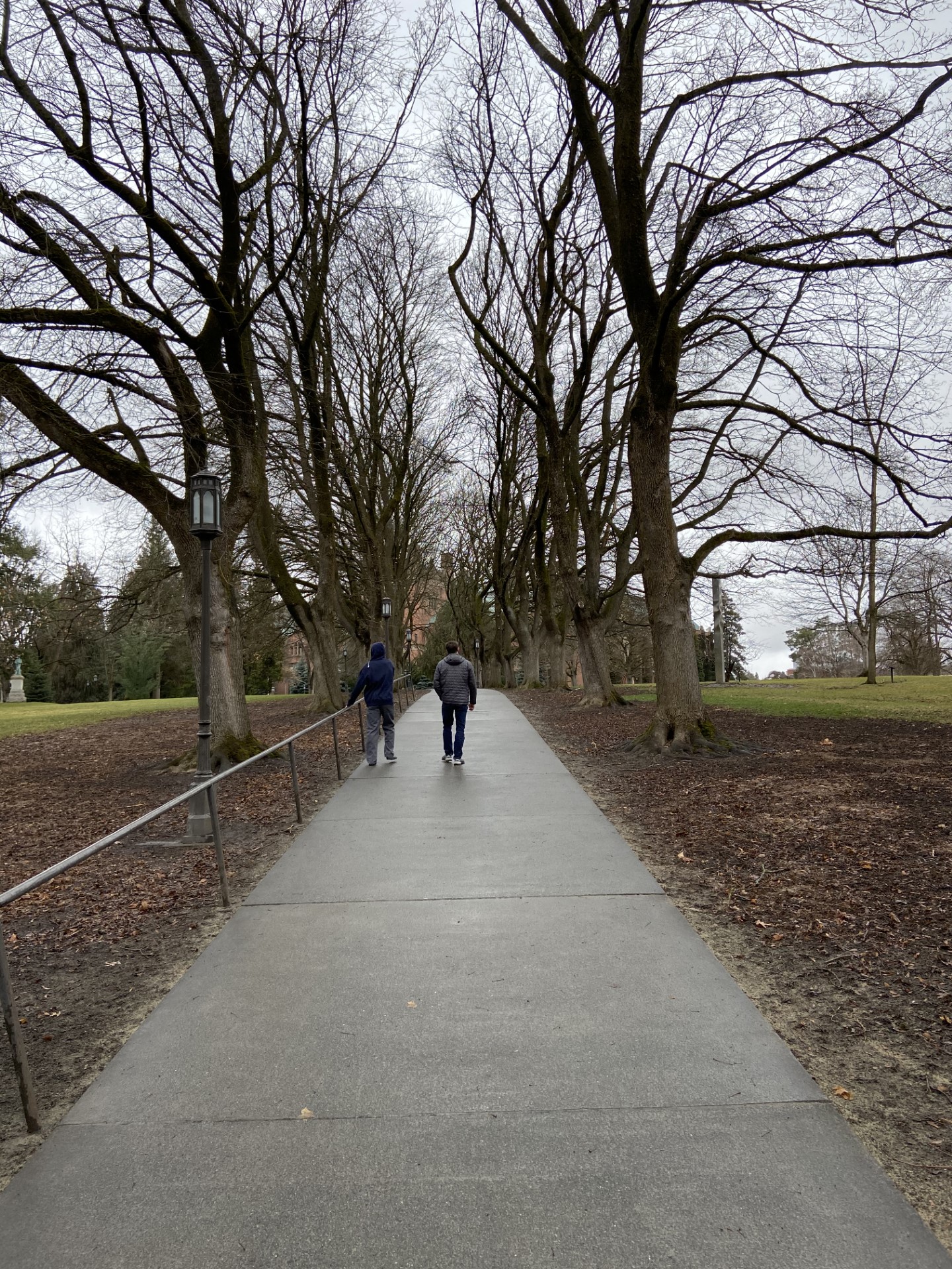 The murders of Kaylee Goncalves, Madison Mogen, Xana Kernodle and Ethan Chapin were extremely devastating for family members of the victims and students at University of Idaho. Pictured above is the Hello Walk located on the University of Idaho campus, leading to the administration building. Students are trying to heal since the tragedy happened.