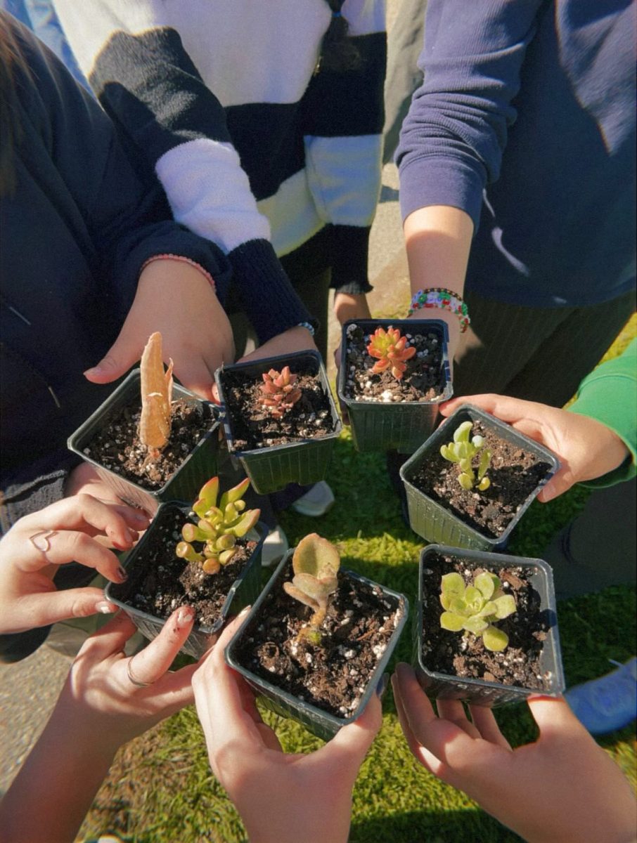 The botany classes are excited to share what they have grown with everyone. They show off some of the succulents they have grown.