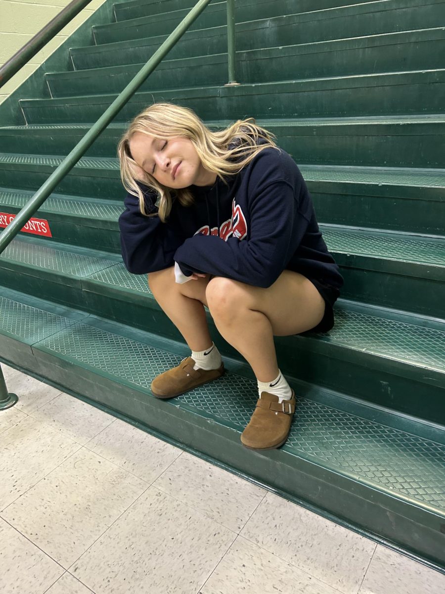 Junior London Sanfillipo-Cook is often tired during her early morning classes. The early start time of school is a highly controversial topic here at Eagle High, and often leads to students being late or not fully alert.