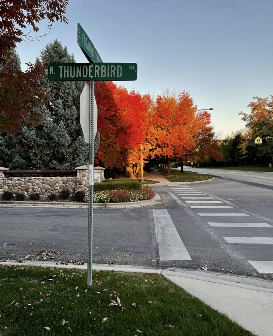 Students debate their favorite characteristics between fall and spring. While fall has colorful scenic views to offer, students find spring a more calming period academically which makes the choice very divided based on personal preference.  