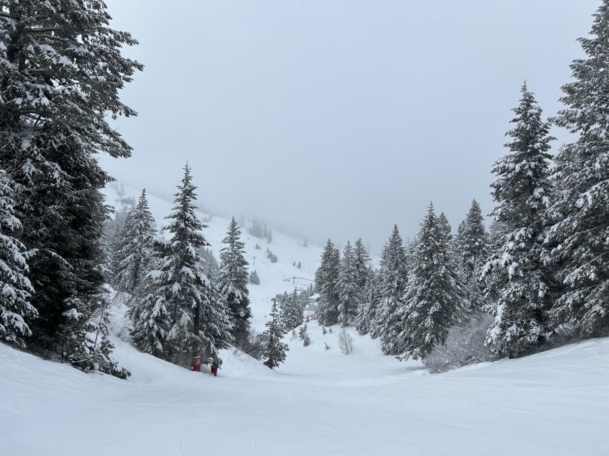 Many Eagle High students like to go to Bogus Basin to ski. It is a beautiful ski resort and only an hour from the valley.
