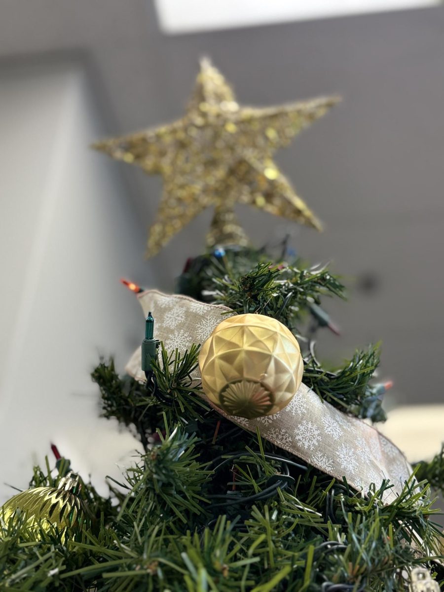 Christmas time is here, and the people of Eagle High are starting to get festive. Christmas trees and decorations can be spotted in almost every corner of Eagle High. 
