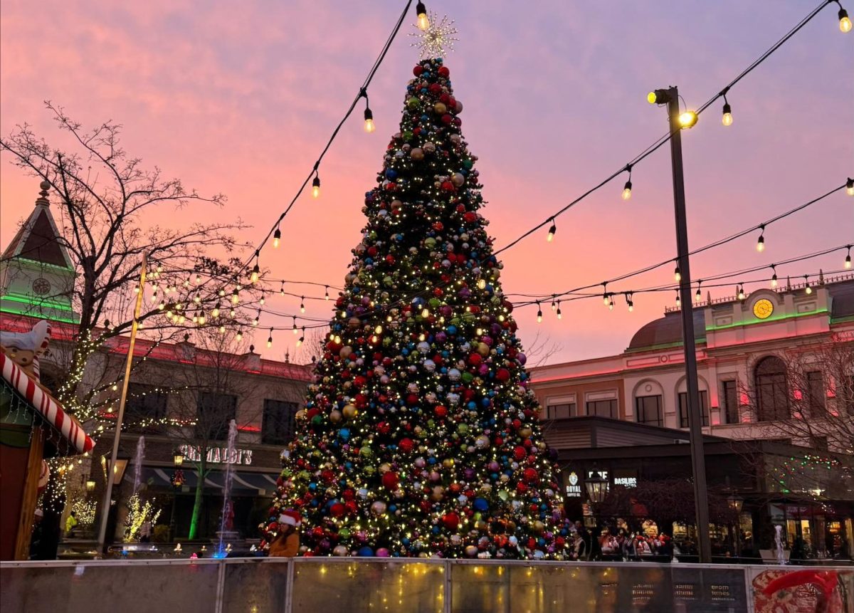 The village meridian showcases their beautiful outdoor ice skating rink during the holidays. Many go to have fun with their family, friends or loved ones for a great outdoor activity.  