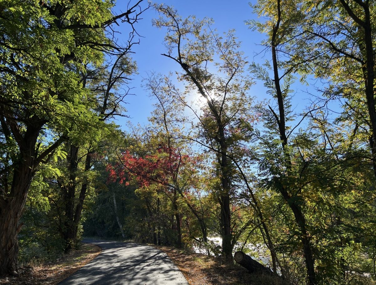 Walking or riding the greenbelt is a great way to enjoy spring outdoors. In the spring the greenbelt is covered with big trees, greenery, and a beautiful rushing river along side the path.
