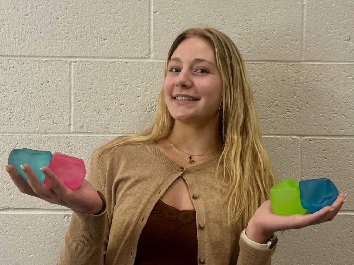 Junior Anna Martindale shows her Collection of Needohs, she currently has four new ones. Martindale is finding it is a great way to find common interests and make new friends with other students. 